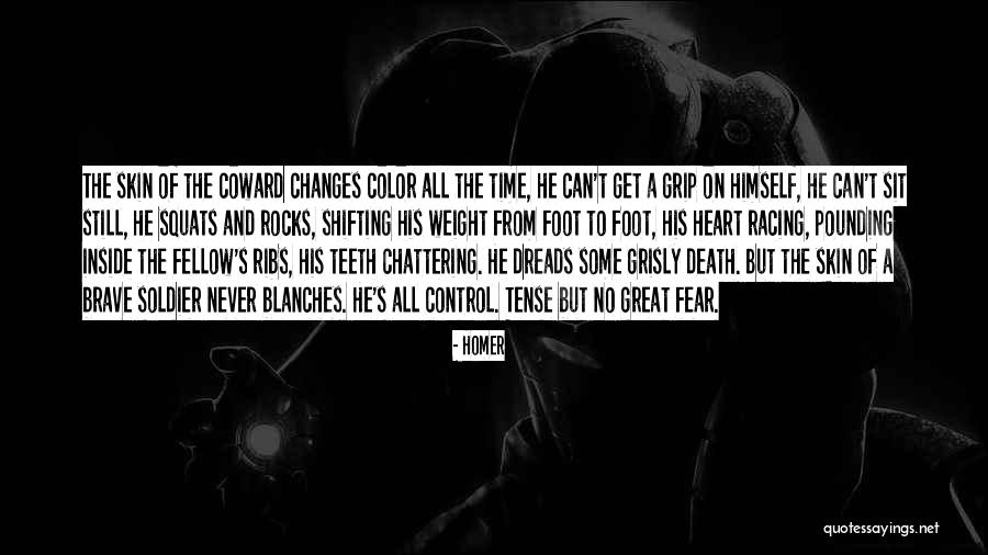 Death Of A Soldier Quotes By Homer Death Of A Soldier Quotes By Homer
