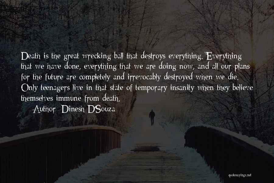 Death Of A Teenager Quotes By Dinesh D'Souza