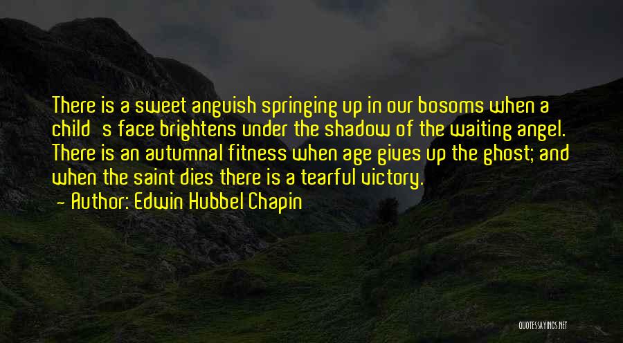 Death Of An Angel Quotes By Edwin Hubbel Chapin