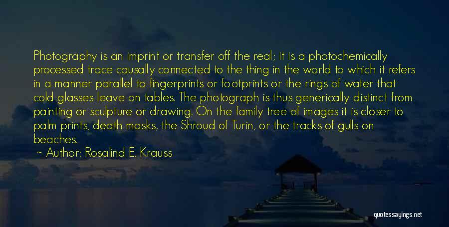 Death Of Family Quotes By Rosalind E. Krauss