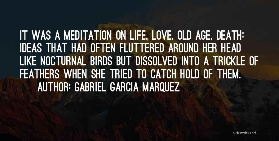 Death Of Love Quotes By Gabriel Garcia Marquez