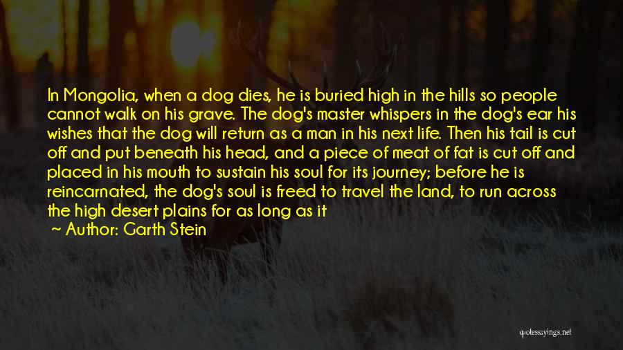 Death Of My Dog Quotes By Garth Stein