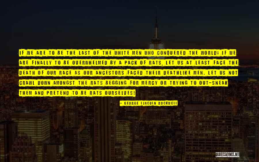 Death Of Rats Quotes By George Lincoln Rockwell Death Of Rats Quotes By George Lincoln Rockwell
