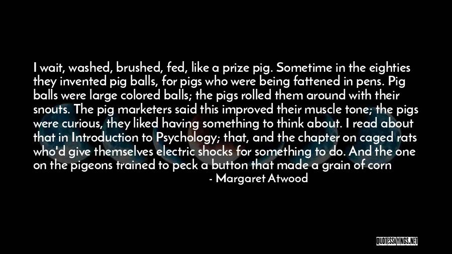 Death Of Rats Quotes By Margaret Atwood Death Of Rats Quotes By Margaret Atwood
