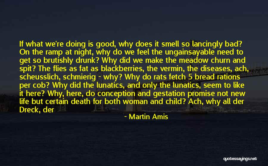 Death Of Rats Quotes By Martin Amis Death Of Rats Quotes By Martin Amis