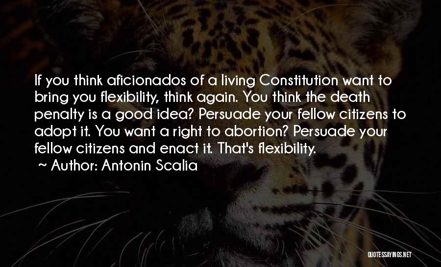 Death Penalty Is Good Quotes By Antonin Scalia