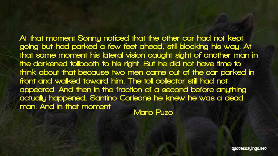 Death Poetry And Quotes By Mario Puzo Death Poetry And Quotes By Mario Puzo