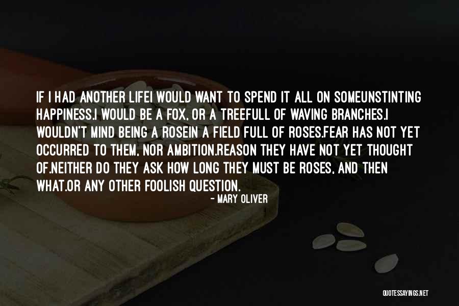 Death Poetry And Quotes By Mary Oliver Death Poetry And Quotes By Mary Oliver
