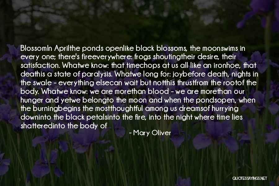 Death Poetry And Quotes By Mary Oliver Death Poetry And Quotes By Mary Oliver