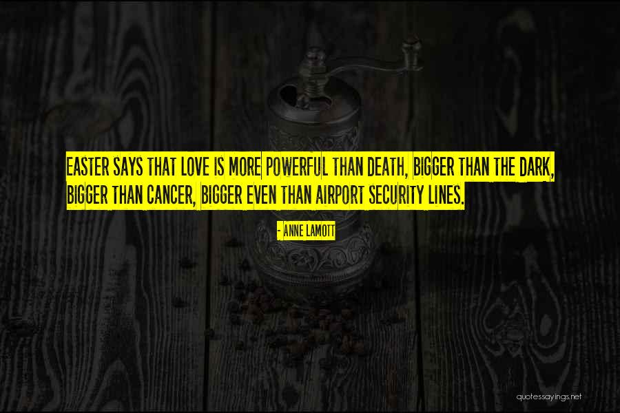 Death Powerful Quotes By Anne Lamott