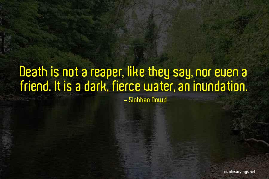 Death Reaper Quotes By Siobhan Dowd Death Reaper Quotes By Siobhan Dowd