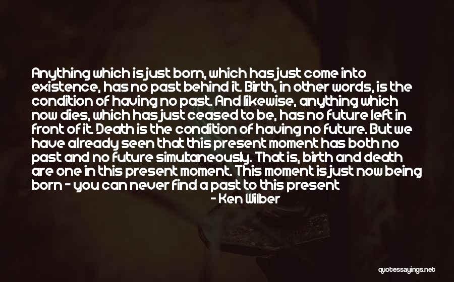 Death Rebirth Quotes By Ken Wilber Death Rebirth Quotes By Ken Wilber