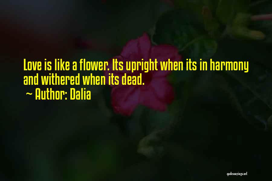 Death Sad Love Quotes By Dalia