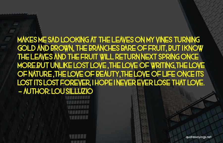 Death Sad Love Quotes By Lou Silluzio