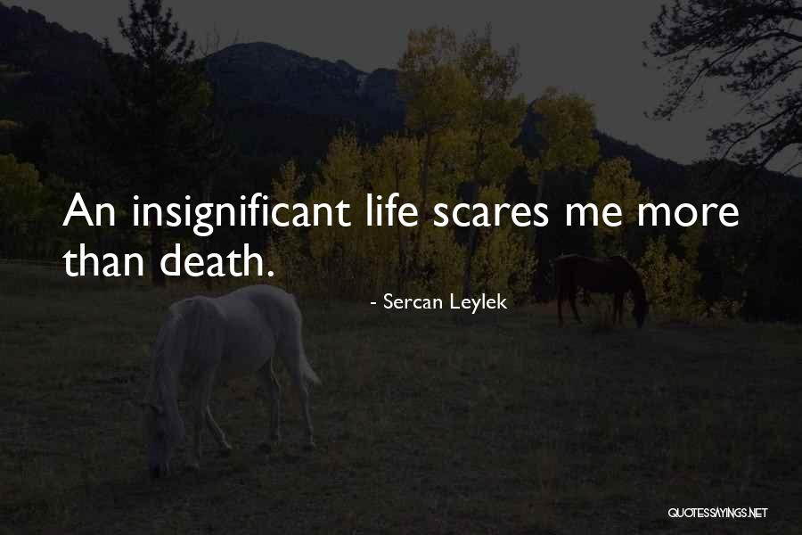 Death Scares Me Quotes By Sercan Leylek