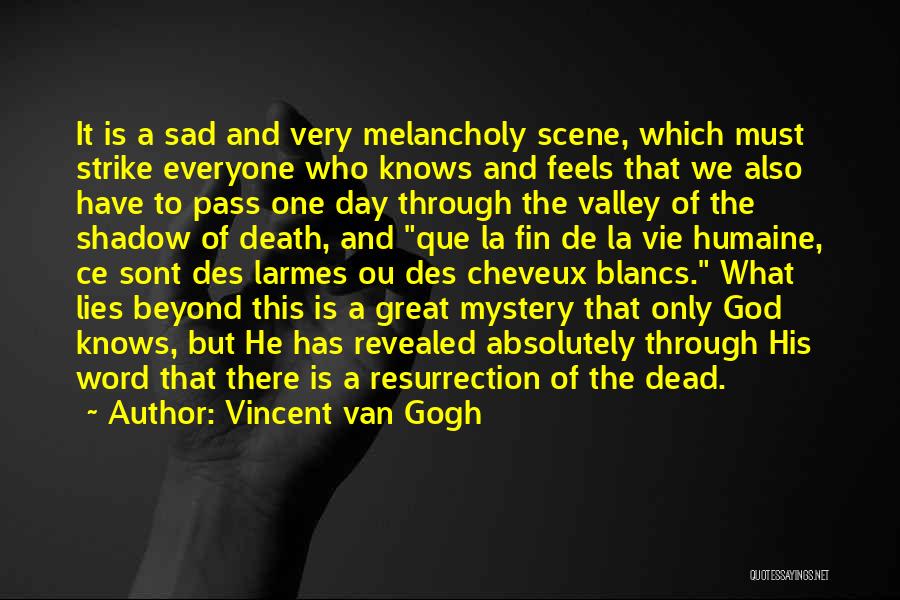 Death Scene Quotes By Vincent Van Gogh