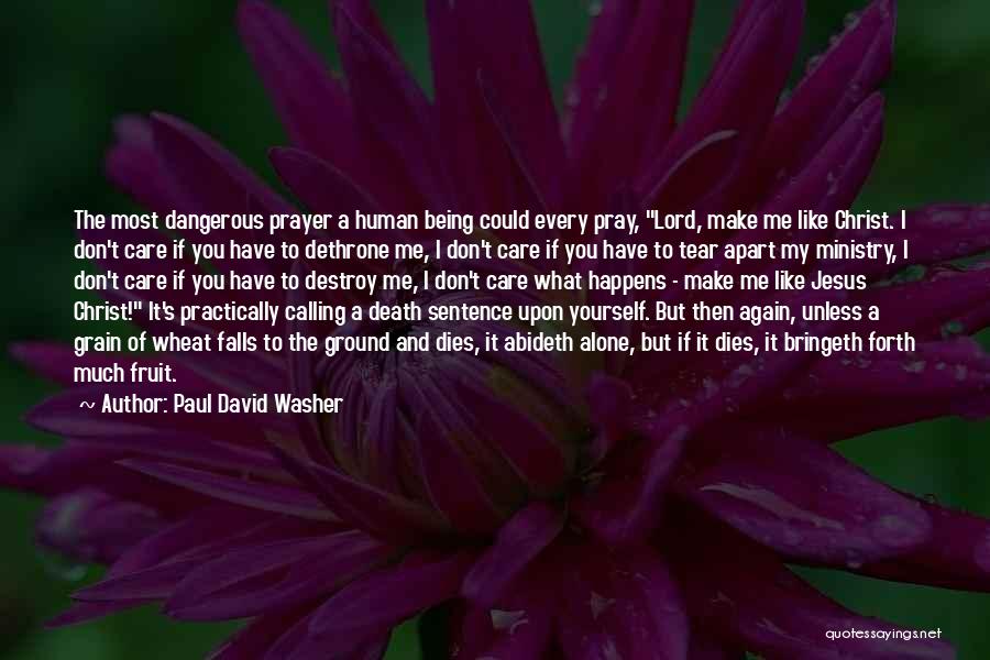 Death Sentence Quotes By Paul David Washer