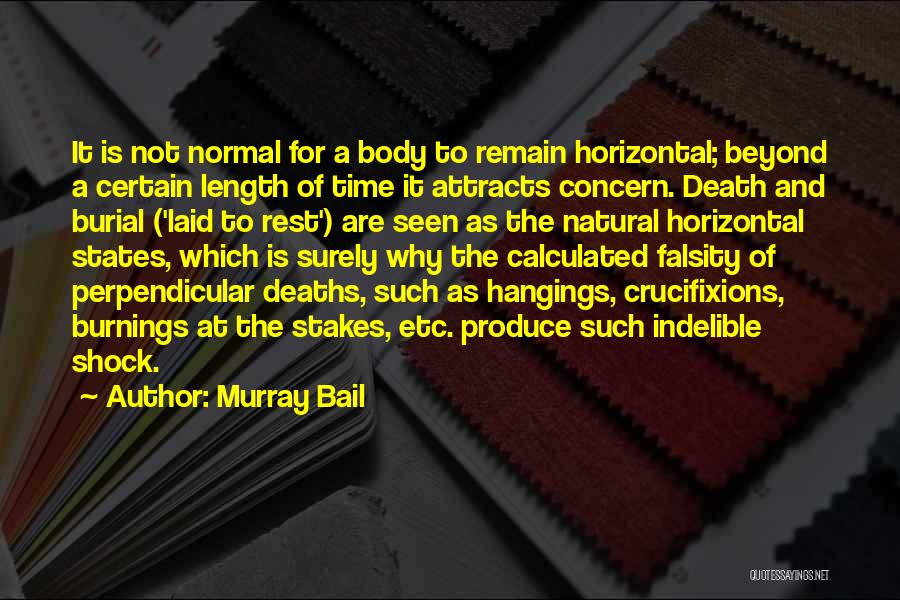 Death Shock Quotes By Murray Bail