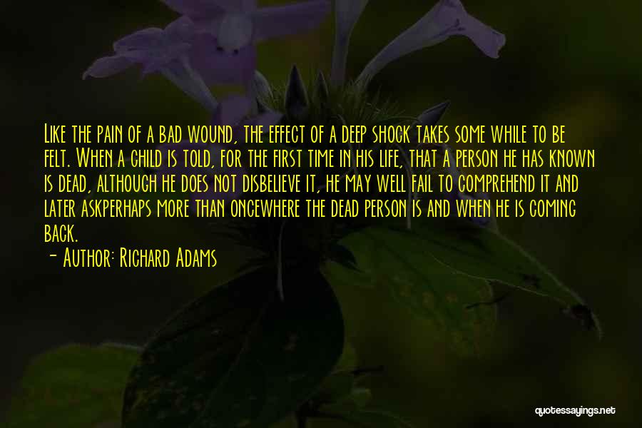 Death Shock Quotes By Richard Adams