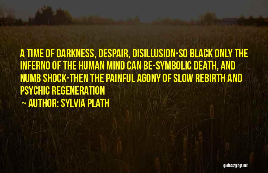 Death Shock Quotes By Sylvia Plath