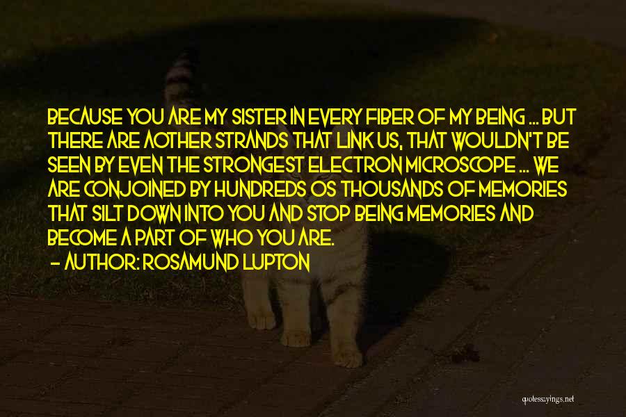 Death Sister Quotes By Rosamund Lupton