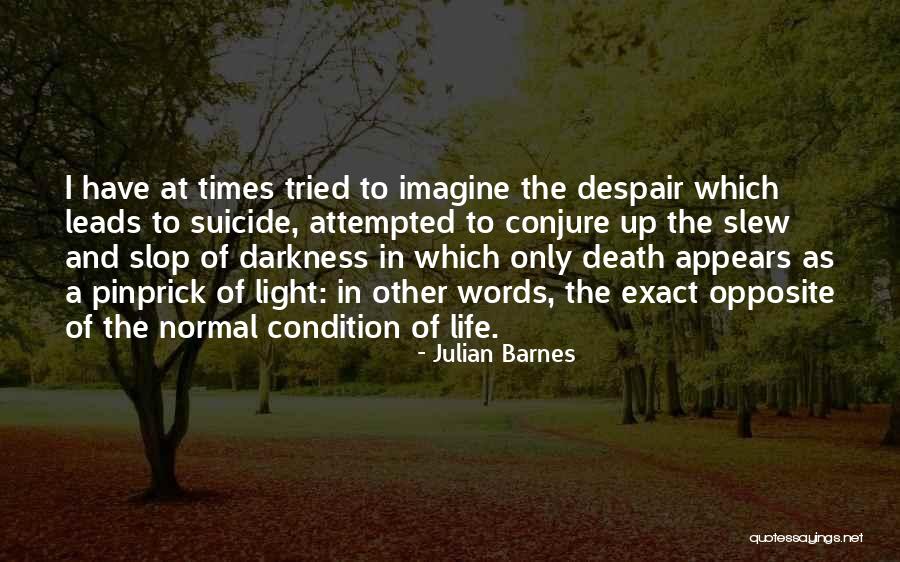 Death Suicide Quotes By Julian Barnes