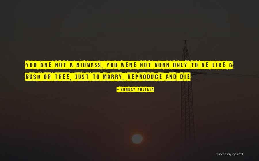 Death Sunday Quotes By Sunday Adelaja Death Sunday Quotes By Sunday Adelaja