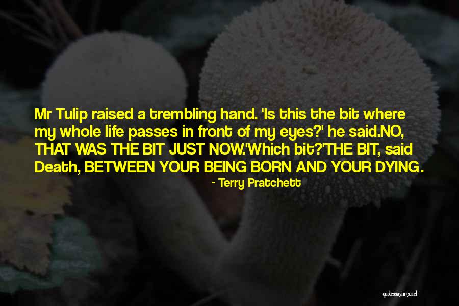 Death Terry Pratchett Quotes By Terry Pratchett Death Terry Pratchett Quotes By Terry Pratchett