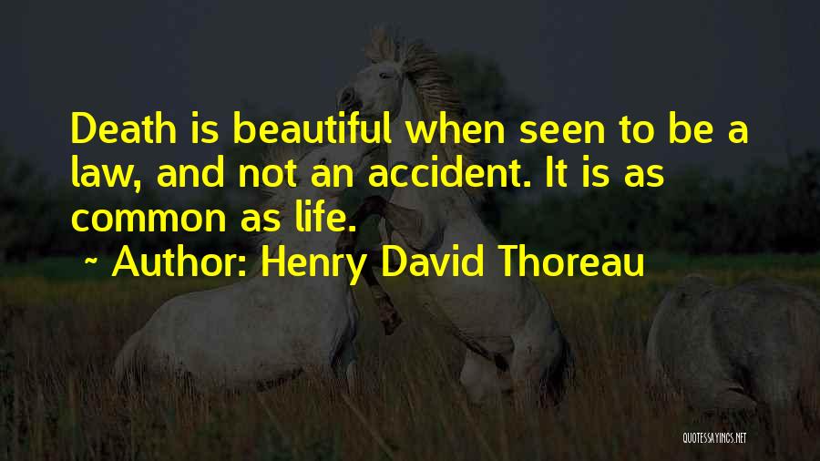 Death Thoreau Quotes By Henry David Thoreau