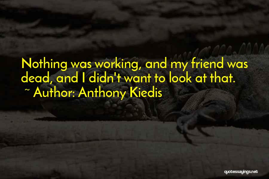 Death To A Friend Quotes By Anthony Kiedis