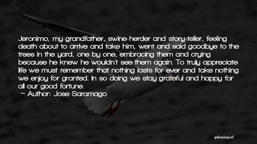 Death To Appreciate Life Quotes By Jose Saramago