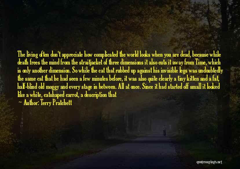 Death To Appreciate Life Quotes By Terry Pratchett