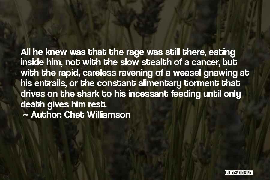 Death To Cancer Quotes By Chet Williamson