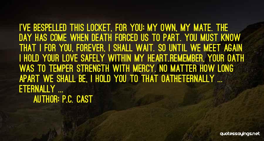 Death Until We Meet Again Quotes By P.C. Cast