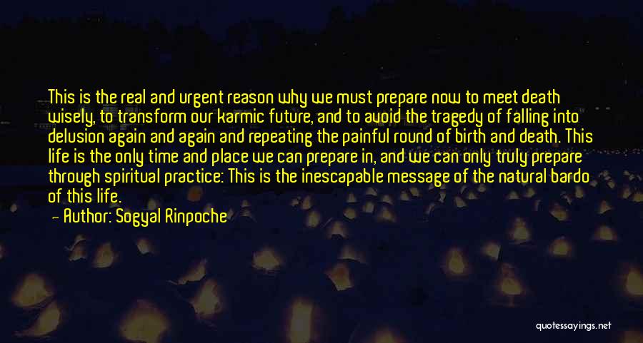 Death Until We Meet Again Quotes By Sogyal Rinpoche