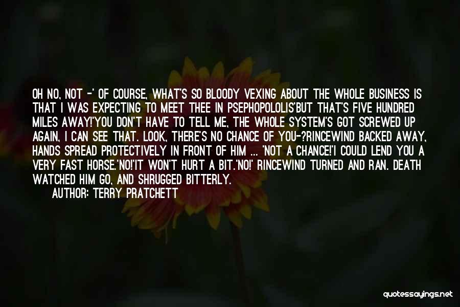 Death Until We Meet Again Quotes By Terry Pratchett