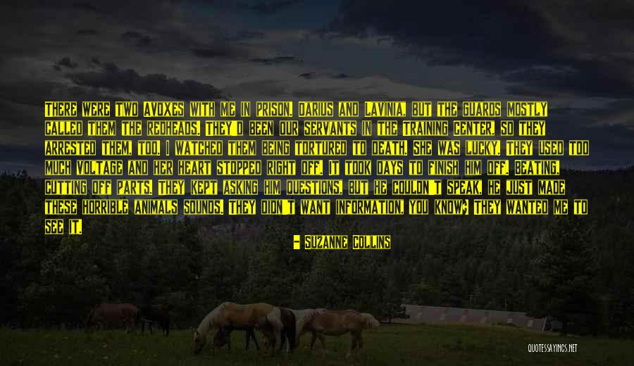 Death Was Arrested Quotes By Suzanne Collins Death Was Arrested Quotes By Suzanne Collins