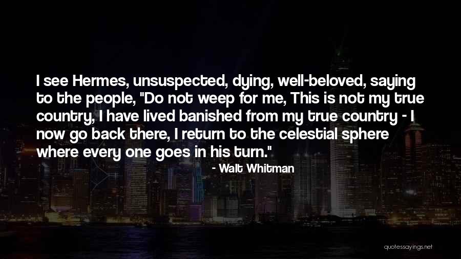 Death Whitman Quotes By Walt Whitman Death Whitman Quotes By Walt Whitman