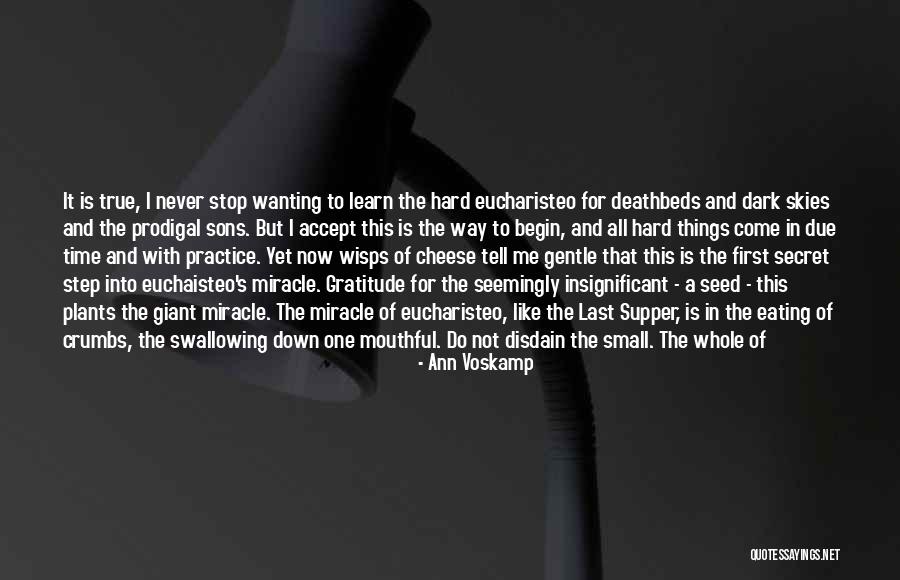 Deathbeds Quotes By Ann Voskamp Deathbeds Quotes By Ann Voskamp