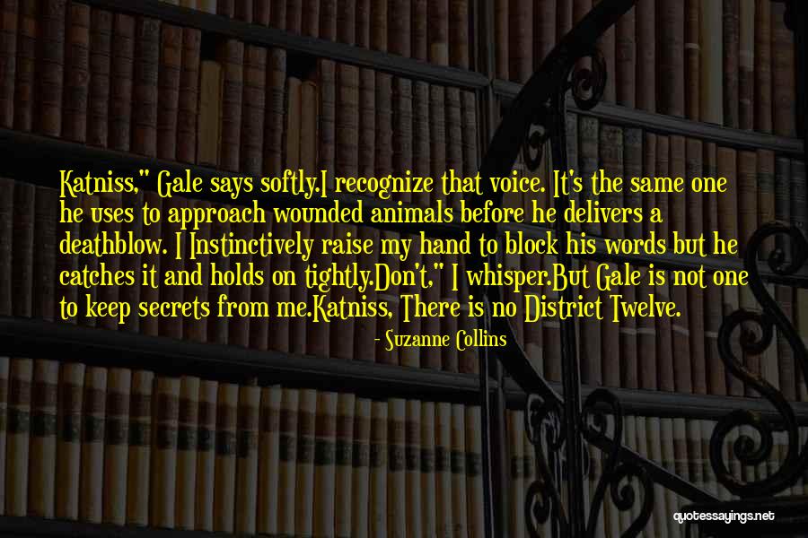 Deathblow Quotes By Suzanne Collins Deathblow Quotes By Suzanne Collins