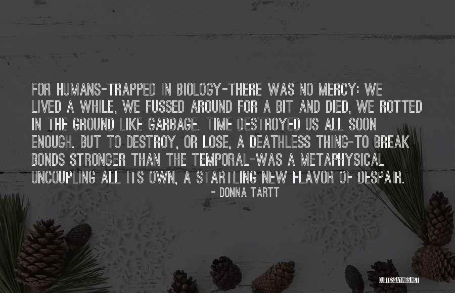 Deathless Quotes By Donna Tartt Deathless Quotes By Donna Tartt