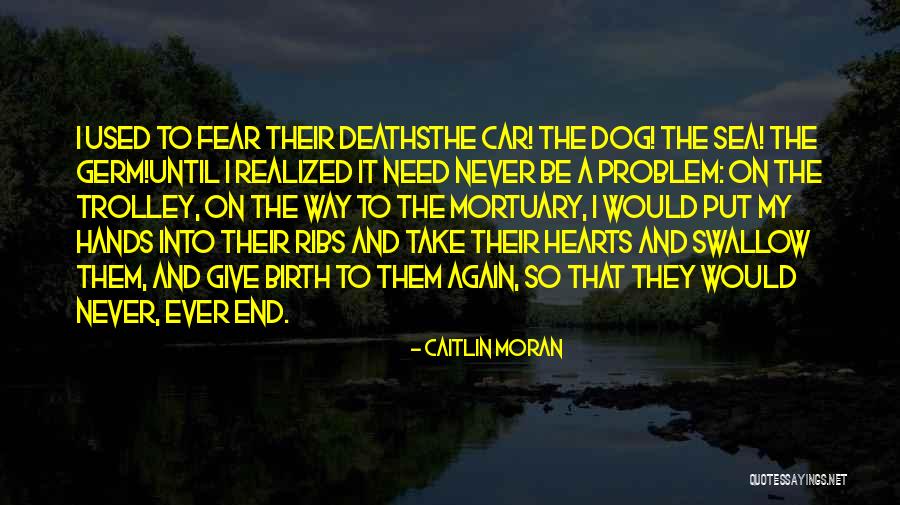 Deaths By Car Quotes By Caitlin Moran Deaths By Car Quotes By Caitlin Moran