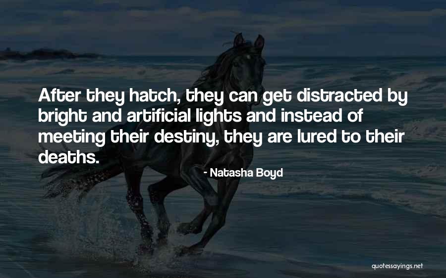 Deaths By Quotes By Natasha Boyd Deaths By Quotes By Natasha Boyd