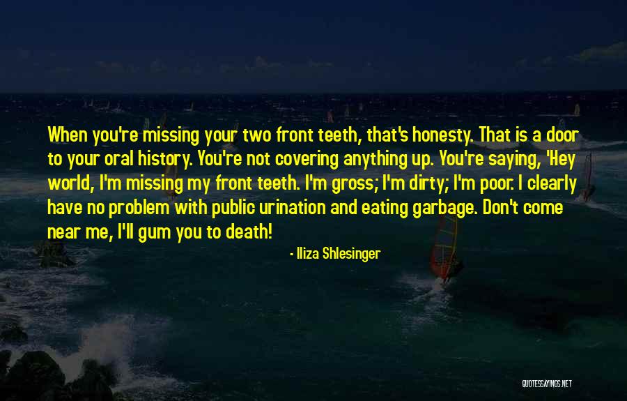 Death's Door Quotes By Iliza Shlesinger