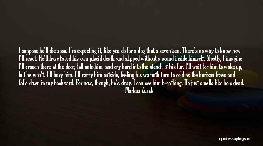 Death's Door Quotes By Markus Zusak Death's Door Quotes By Markus Zusak