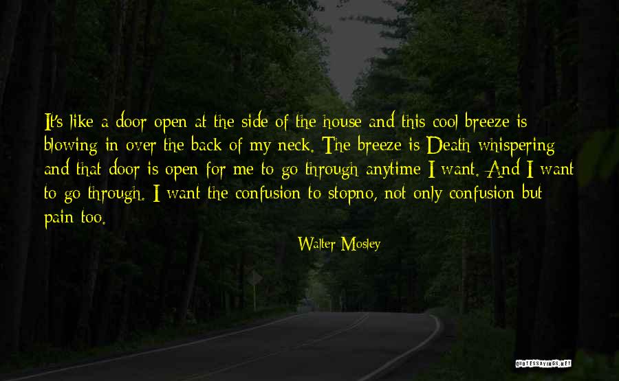 Death's Door Quotes By Walter Mosley Death's Door Quotes By Walter Mosley