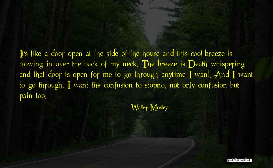 Death's Door Quotes By Walter Mosley