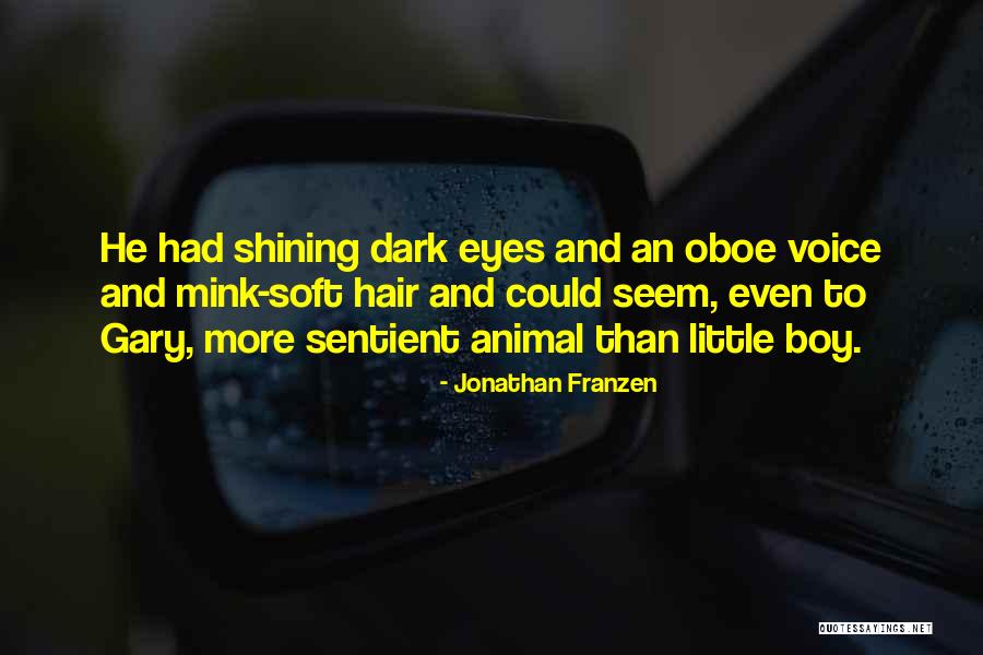 Debaloy Bhattacharya Quotes By Jonathan Franzen Debaloy Bhattacharya Quotes By Jonathan Franzen