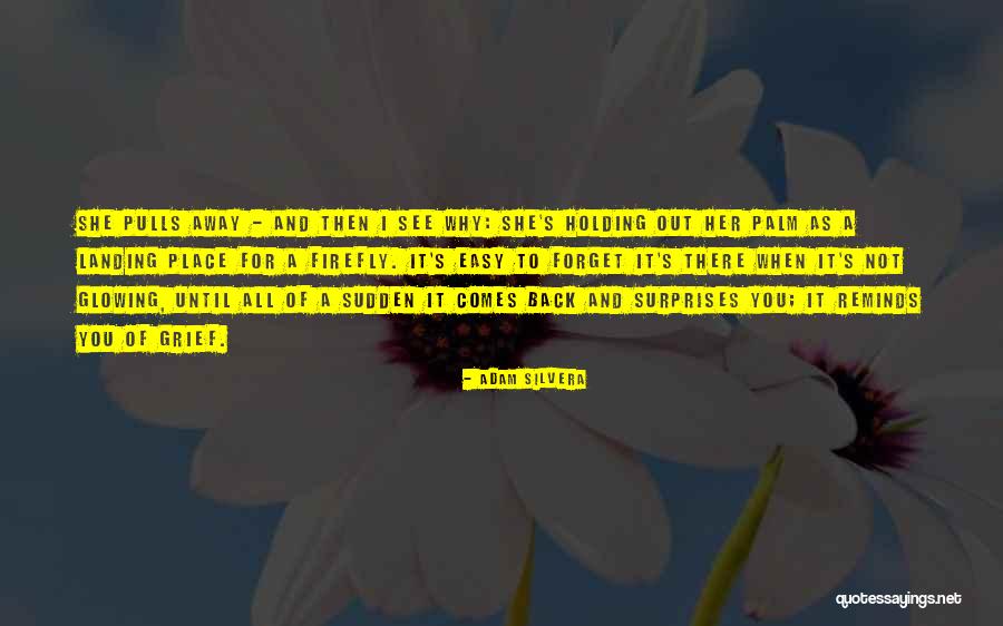 Debarkation Quotes By Adam Silvera Debarkation Quotes By Adam Silvera
