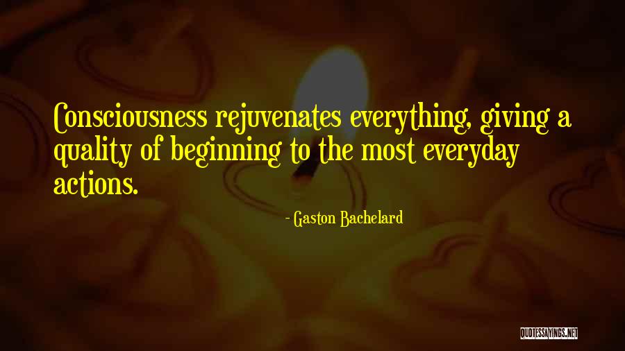 Debary Quotes By Gaston Bachelard Debary Quotes By Gaston Bachelard